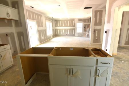 New construction Single-Family house 175 Spotted Bee Way, Youngsville, NC 27596 - photo 19 19