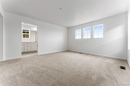 New construction Single-Family house 3469 N Duquesne Way, Aurora, CO 80019 Meridian- photo 16 16