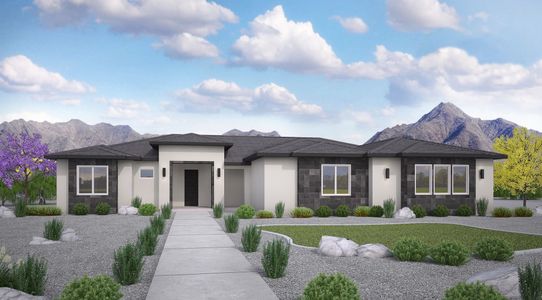 New construction Single-Family house Arizona'S 5th Congressional District, Chandler, AZ 85286 - photo 3 3
