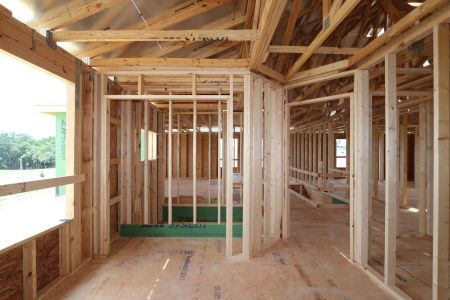 New construction Single-Family house 31801 Sapna Chime Drive, Wesley Chapel, FL 33545 Alenza- photo 45 45