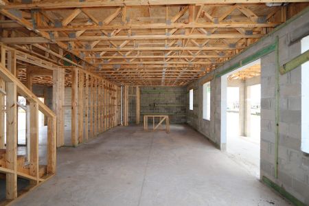 New construction Single-Family house 31852 Sapna Chime Drive, Wesley Chapel, FL 33545 Renau- photo 30 30