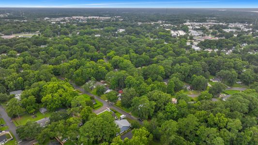 New construction Single-Family house 1565 Juniper Street, Charleston, SC 29407 - photo 61 61