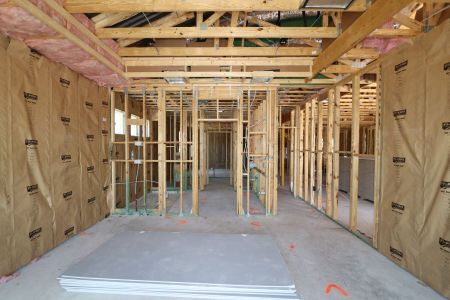 New construction Single-Family house 10609 New Morning Drive, Tampa, FL 33647 Corina  III Bonus- photo 22 22