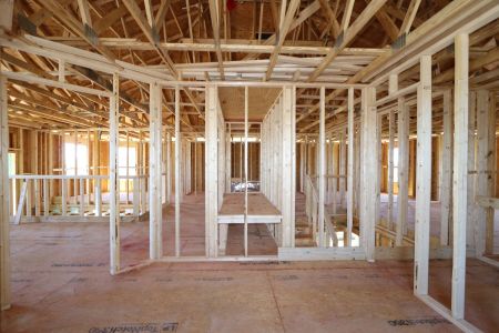 New construction Single-Family house 12383 Hilltop Farms Drive, Dade City, FL 33525 Malibu- photo 10 10