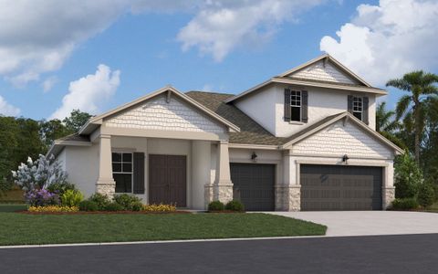 Seaire by Dream Finders Homes in Palmetto - photo 6 6