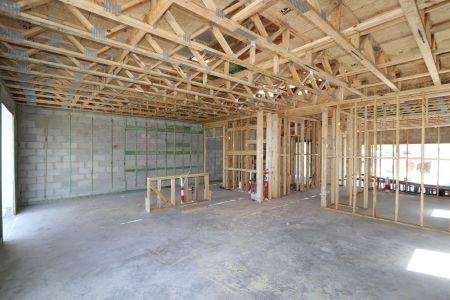 New construction Single-Family house 2881 Misty Marble Drive, Zephyrhills, FL 33540 Castellana- photo 16 16