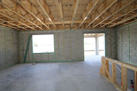 New construction Single-Family house 2881 Misty Marble Drive, Zephyrhills, FL 33540 Castellana- photo 30 30