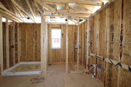 New construction Single-Family house 31810 Sapna Chime Drive, Wesley Chapel, FL 33545 Mira Lago- photo 34 34