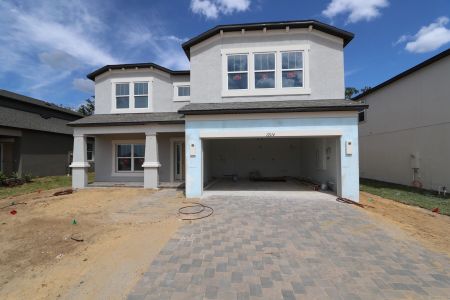 New construction Single-Family house 12114 Hilltop Farms Drive, Dade City, FL 33525 Alenza- photo 123 123