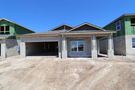 New construction Single-Family house 31843 Sapna Chime Drive, Wesley Chapel, FL 33545 Picasso- photo 39 39