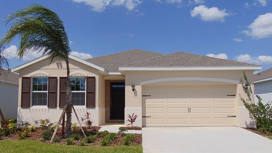 New construction Single-Family house Delray, 7802 Penrose Place, Wildwood, FL 34785 - photo