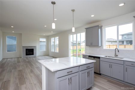New construction Single-Family house 1894 Spotted Owl Court, Brighton, CO 80601 - photo 8 8