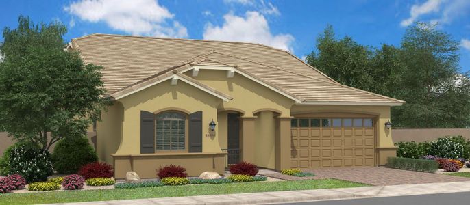 New construction Single-Family house 3029 W. Sherman Road, San Tan Valley, AZ 85144 - photo 1 1