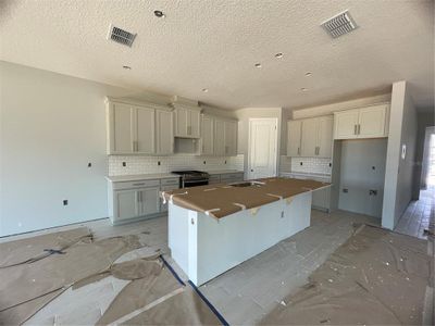 New construction Single-Family house 891 Pointe Emerson Boulevard, Apopka, FL 32703 Tranquility - Eco Grand Series- photo 7 7