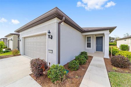 New construction Single-Family house 6014 Sw 93Rd Circle, Ocala, FL 34481 - photo 0