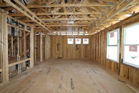 New construction Single-Family house 7702 Hemlock Seed Drive, Wesley Chapel, FL 33545 Corina II Bonus- photo 19 19