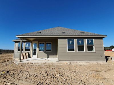 New construction Single-Family house 1725 Scenic Heights Ln, Georgetown, TX 78628 Premier Series - Palm- photo 8 8