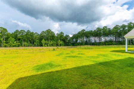 New construction Single-Family house 4415 Ocean Farm Drive, Summerville, SC 29485 - photo 34 34