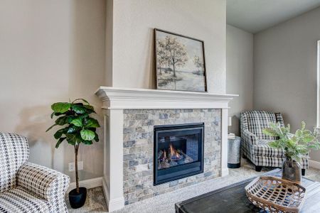 New construction Townhouse house 6248 Vernazza Way, Windsor, CO 80550 - photo 16 16