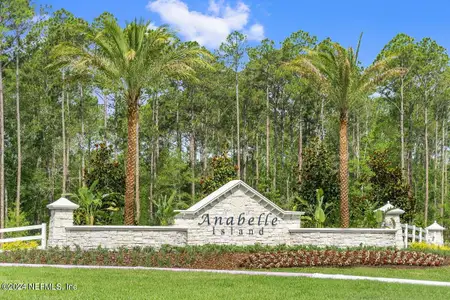 New construction Single-Family house 2526 Clayton Fls Cove, Green Cove Springs, FL 32043 - photo 27 27