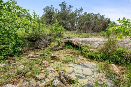 New construction Single-Family house 575 Norwood Rd, Dripping Springs, TX 78620 - photo 27 27