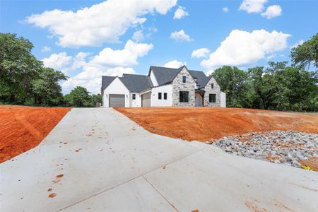 New construction Single-Family house 4000 Conejo Court, Poolville, TX 76487 - photo 5 5