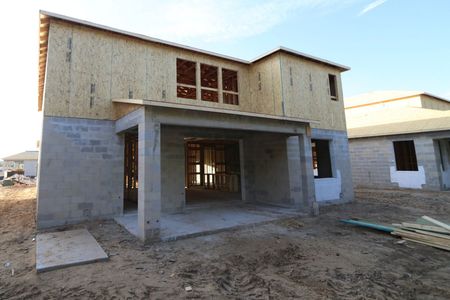 New construction Single-Family house 12114 Hilltop Farms Drive, Dade City, FL 33525 Alenza- photo 3 3