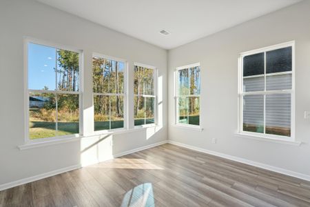 New construction Single-Family house 1314 Locals Street, Summerville, SC 29485 Juniper- photo 22 22