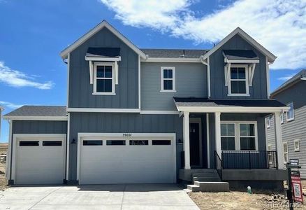 New construction Single-Family house 39691 Congress Circle, Elizabeth, CO 80107 Ridgway- photo 26 26