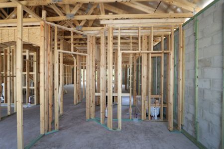 New construction Single-Family house 7702 Hemlock Seed Drive, Wesley Chapel, FL 33545 Corina II Bonus- photo 25 25