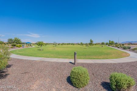 New construction Single-Family house 11021 W Buchanan Street, Avondale, AZ 85323 - photo 22 22