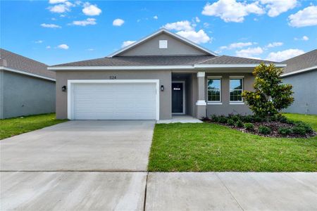 New construction Single-Family house 524 Ellie Court, Apopka, FL 32703 - photo 31 31