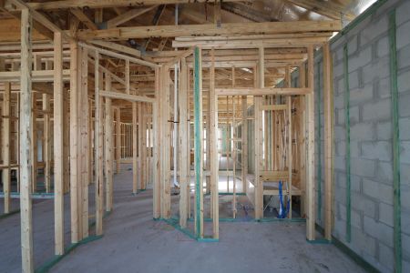 New construction Single-Family house 4778 Beachrose Way, Lakeland, FL 33811 Barcello- photo 14 14