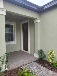 New construction Single-Family house 12823 Lily Quartz Loop, Parrish, FL 34219 - photo 1 1