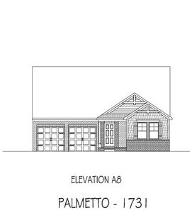 New construction Single-Family house Palmetto 1731, 835 Peoria Lane, Rock Hill, SC 29730 - photo