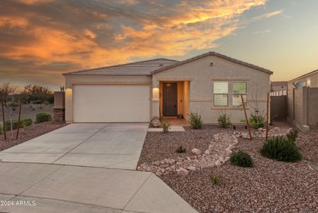 New construction Single-Family house 48212 N Basilio Street, Gold Canyon, AZ 85118 - photo 0