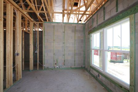 New construction Single-Family house 31843 Sapna Chime Drive, Wesley Chapel, FL 33545 Picasso- photo 36 36