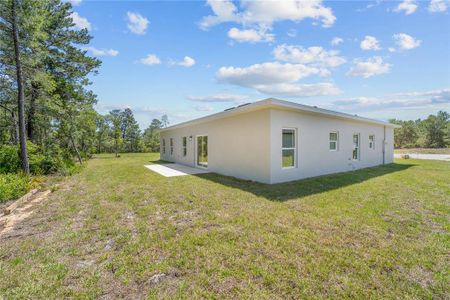 New construction Single-Family house 251 Hibiscus Ln, Kissimmee, FL 34759 - photo 20 20