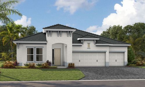 New construction Single-Family house 9231 Isabella Circle, Parrish, FL 34219 - photo 2 2