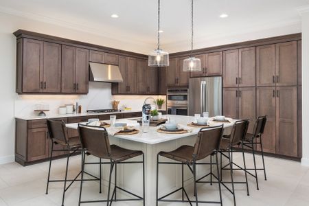 Valencia Parc at Riverland by GL Homes in Port Saint Lucie - photo 57 57