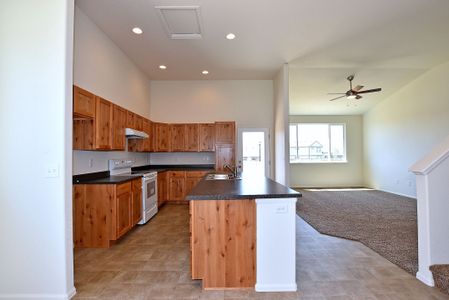 New construction Single-Family house Big Horn Parkway, Johnstown, CO 80534 - photo 23 23