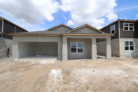 New construction Single-Family house 31843 Sapna Chime Drive, Wesley Chapel, FL 33545 Picasso- photo 67 67