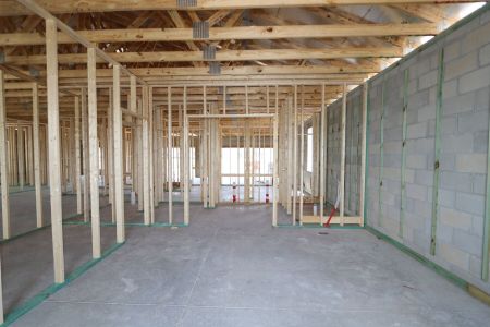 New construction Single-Family house 9465 Crescent Ray Drive, Wesley Chapel, FL 33545 Barcello- photo 17 17