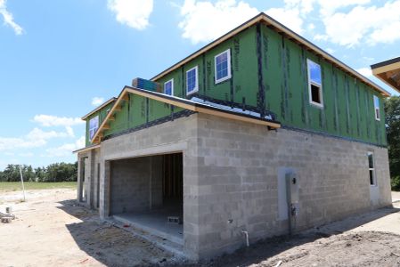 New construction Single-Family house 9611 Crescent Ray Drive, Wesley Chapel, FL 33545 Dali- photo 41 41
