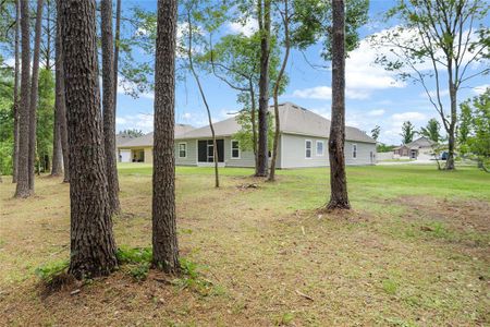 New construction Single-Family house 15303 Nw 121St Place, Alachua, FL 32615 - photo 31 31