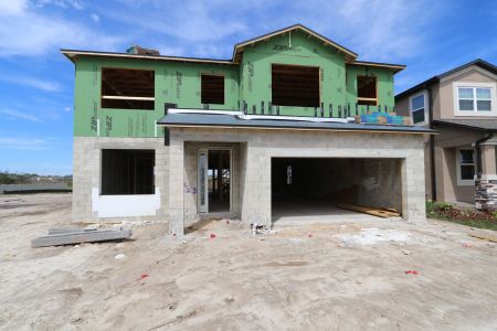 New construction Single-Family house 2522 Sunny Pebble Loop, Zephyrhills, FL 33540 Mira Lago- photo 32 32