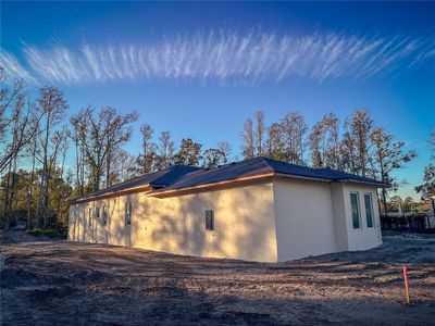 New construction Single-Family house 3950 Cove Lake Place, Land O' Lakes, FL 34639 - photo 12 12