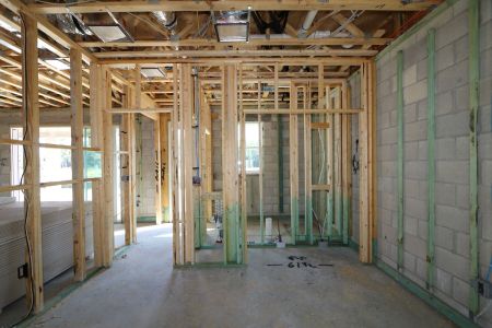 New construction Single-Family house 10708 New Morning Drive, Tampa, FL 33647 Sonoma II- photo 11 11