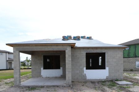 New construction Single-Family house 2885 Misty Marble Drive, Zephyrhills, FL 33540 Herrera- photo 45 45
