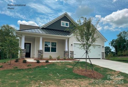 New construction Single-Family house 147 Pampas Place, Unit BF5 236, Statesville, NC 28625 - photo 1 1